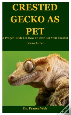 Capa do artigo Crested Gecko As Pet