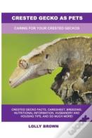 Crested Gecko As Pets