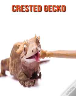 Capa do artigo Crested Gecko