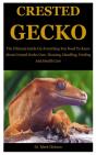 Crested Gecko - Preview