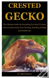 Crested Gecko