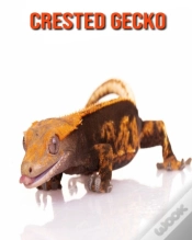 Capa do artigo Crested Gecko