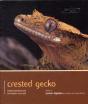Crested Gecko - Pet Expert - Preview