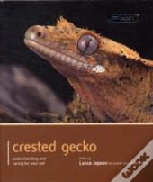 Crested Gecko - Pet Expert