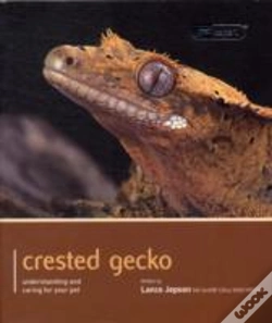 Capa do artigo Crested Gecko - Pet Expert