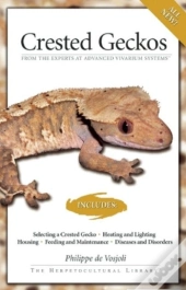 Crested Geckos