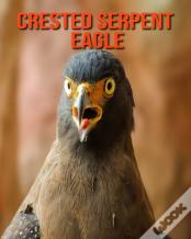 Crested Serpent Eagle