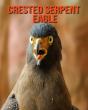 Crested Serpent Eagle - Preview