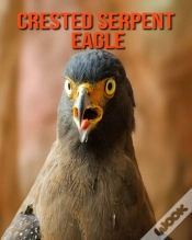 Capa do artigo Crested Serpent Eagle