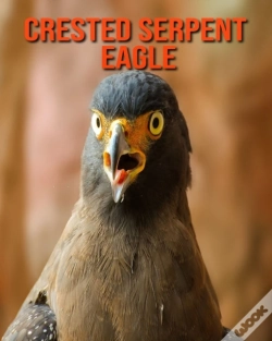 Capa do artigo Crested Serpent Eagle