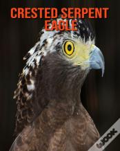 Crested Serpent Eagle