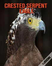 Capa do artigo Crested Serpent Eagle
