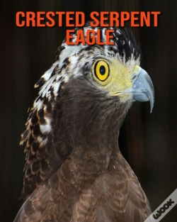 Capa do artigo Crested Serpent Eagle