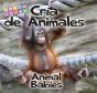 Cria De Animales - Preview