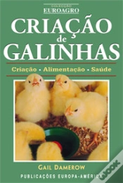 Capa do artigo Criação de Galinhas