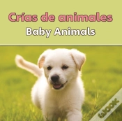 Capa do artigo Crias De Animales
