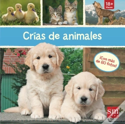 Capa do artigo Crías De Animales