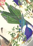 Criaturas Salvajes