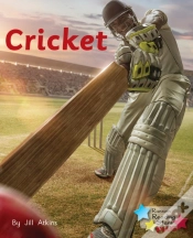 Capa do artigo Cricket