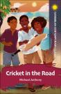 Cricket In The Road - Preview