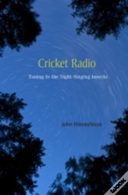 Capa do artigo Cricket Radio