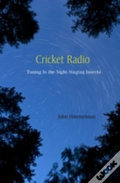Capa do artigo Cricket Radio