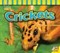 Crickets - Preview
