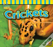 Capa do artigo Crickets