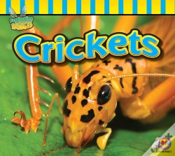 Capa do artigo Crickets