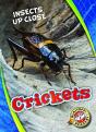 Crickets - Preview