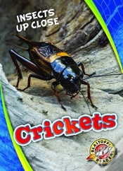 Capa do artigo Crickets