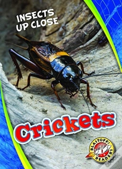 Capa do artigo Crickets