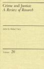 Crime And Justice, Volume 20 - Preview