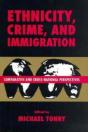 Crime And Justice, Volume 21 - Preview