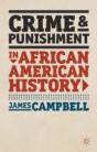 Crime And Punishment In African American History - Preview