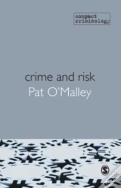 Capa do artigo Crime And Risk