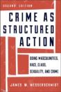Crime As Structured Action - Preview