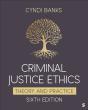 Criminal Justice Ethics - Preview