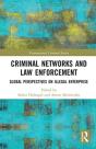 Criminal Networks And Law Enforcement - Preview