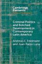 Criminal Politics And Botched Development In Contemporary Latin America - Preview