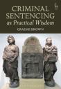 Criminal Sentencing As Practical Wisdom - Preview