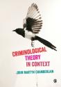 Criminological Theory In Context - Preview