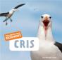 Cris - Preview