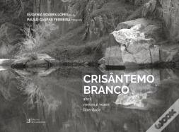 Crisântemo Branco