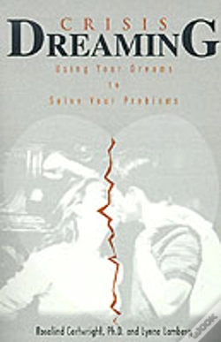 Capa do artigo Crisis Dreaming