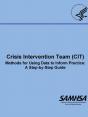 Crisis Intervention Team (Cit) - Methods For Using Data To Inform Practice - Preview