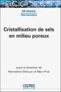 Cristallisation De Sels En Milieu Poreux - Preview