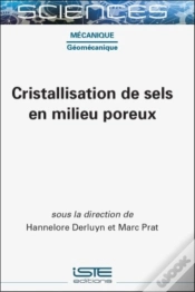 Capa do artigo Cristallisation De Sels En Milieu Poreux