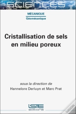 Capa do artigo Cristallisation De Sels En Milieu Poreux