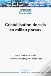 Cristallisation De Sels En Milieu Poreux